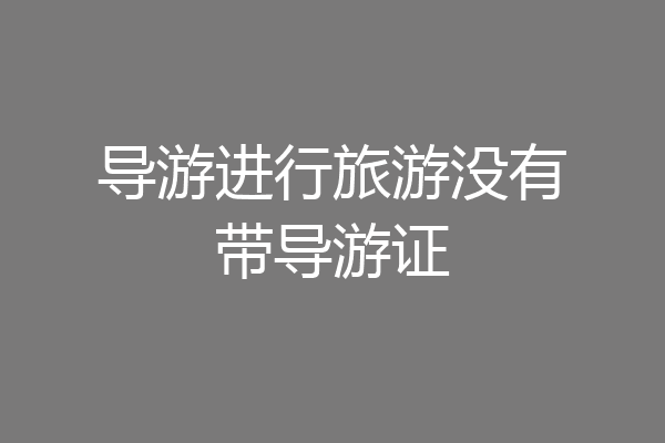 导游进行旅游没有带导游证