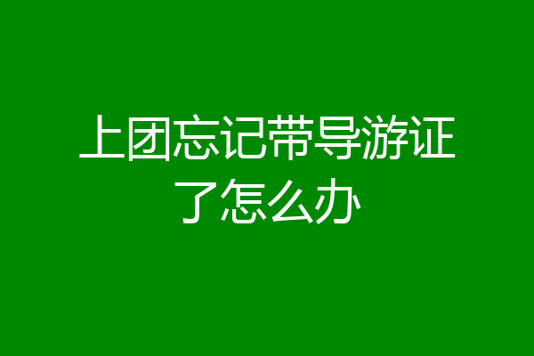 上团忘记带导游证了怎么办