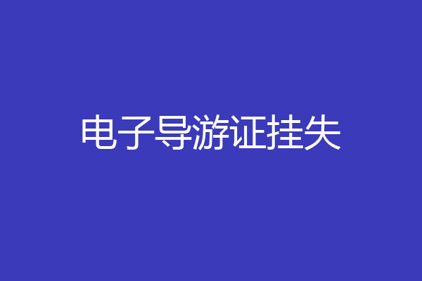 电子导游证挂失