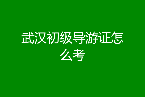 武汉初级导游证怎么考
