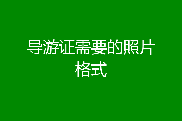 导游证需要的照片格式