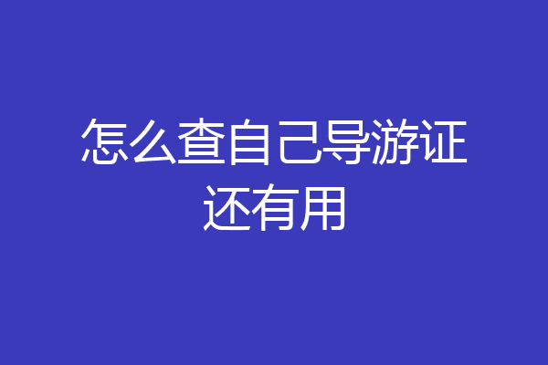 怎么查自己导游证还有用