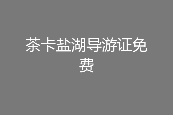 茶卡盐湖导游证免费