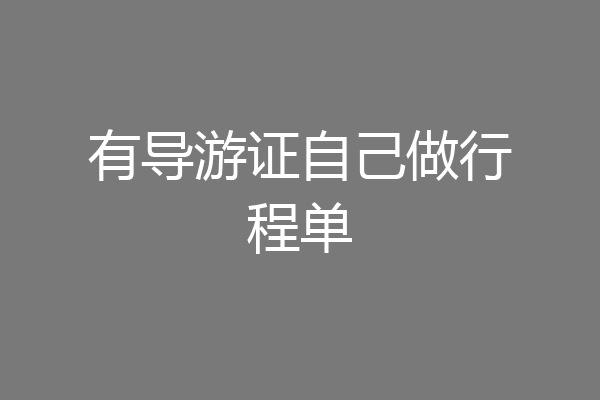 有导游证自己做行程单