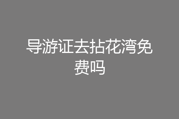 导游证去拈花湾免费吗