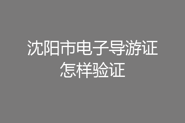 沈阳市电子导游证怎样验证