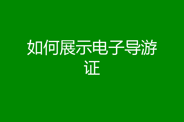 如何展示电子导游证