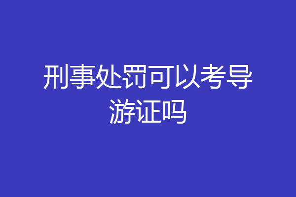 刑事处罚可以考导游证吗