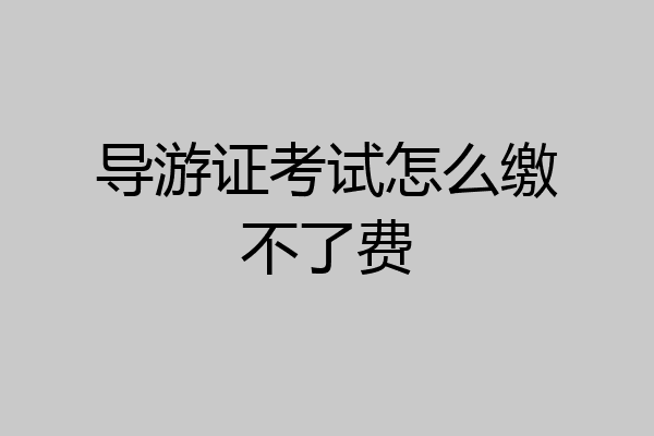 导游证考试怎么缴不了费