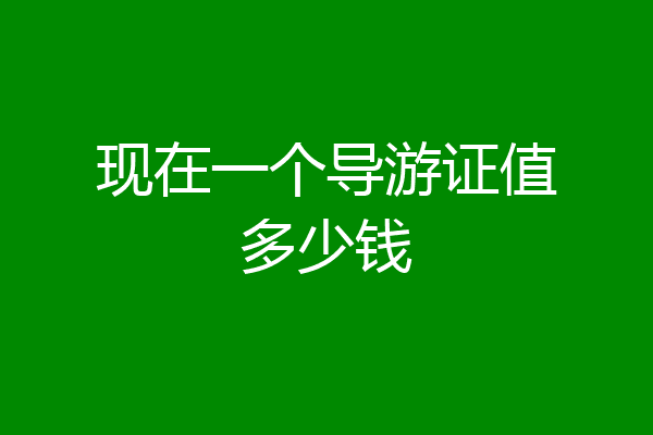 现在一个导游证值多少钱