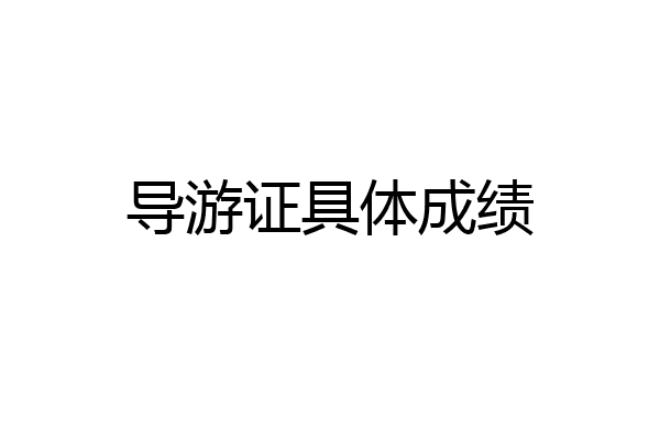 导游证具体成绩