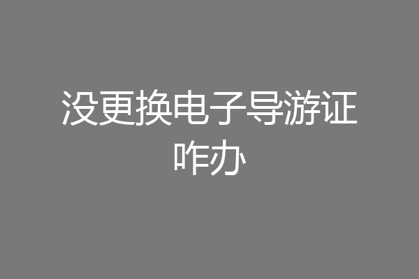 没更换电子导游证咋办