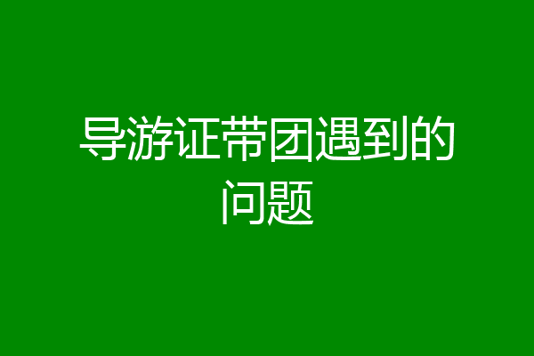 导游证带团遇到的问题