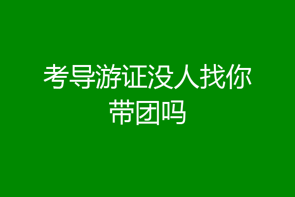 考导游证没人找你带团吗