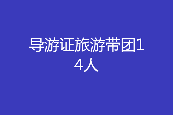 导游证旅游带团14人
