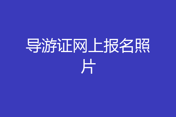 导游证网上报名照片
