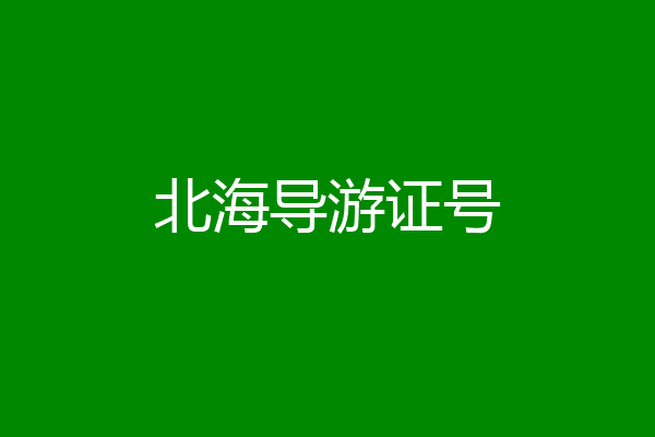 北海导游证号