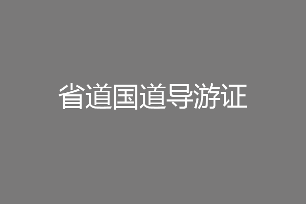 省道国道导游证