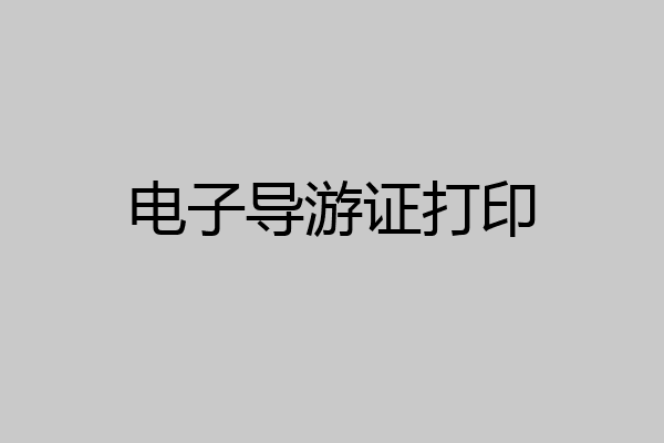 电子导游证打印