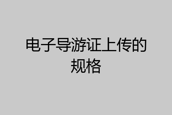 电子导游证上传的规格