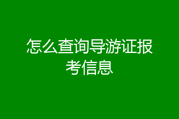 怎么查询导游证报考信息