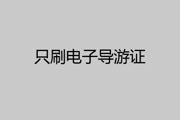 只刷电子导游证