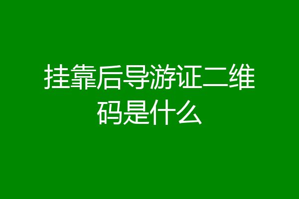 挂靠后导游证二维码是什么