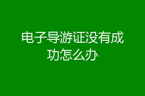 电子导游证没有成功怎么办