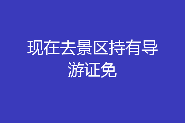 现在去景区持有导游证免