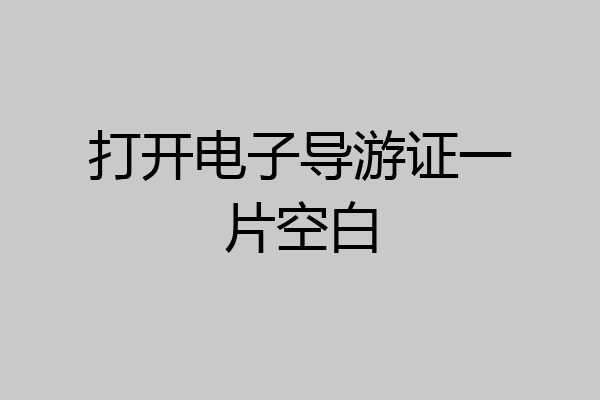 打开电子导游证一片空白