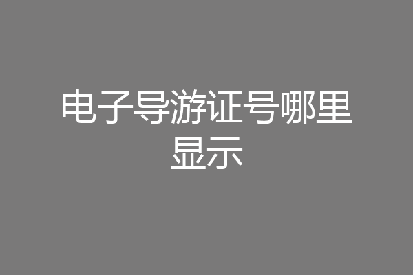 电子导游证号哪里显示