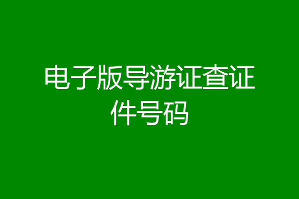 电子版导游证查证件号码