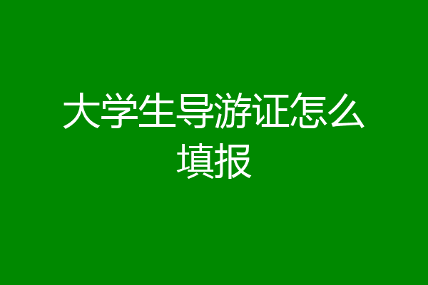 大学生导游证怎么填报