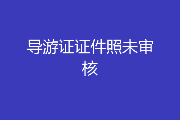 导游证证件照未审核