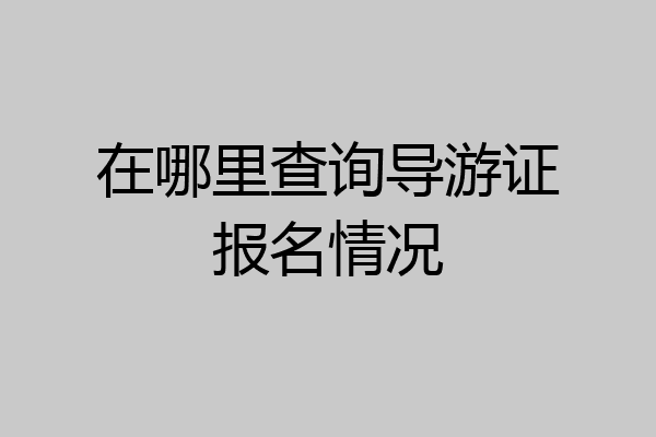 在哪里查询导游证报名情况
