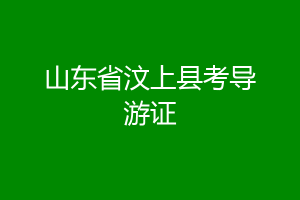 山东省汶上县考导游证