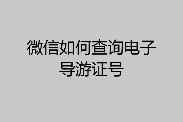 微信如何查询电子导游证号
