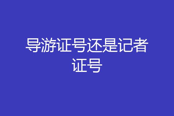 导游证号还是记者证号