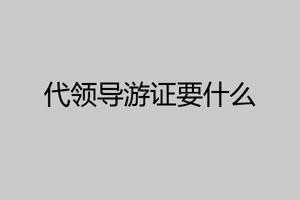 代领导游证要什么