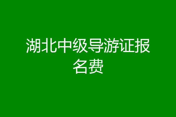 湖北中级导游证报名费