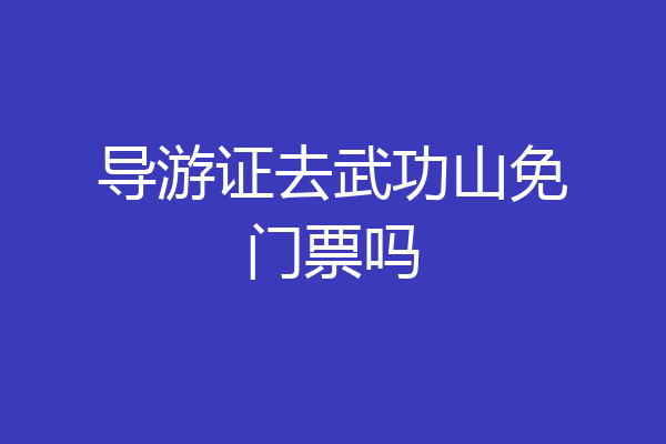 导游证去武功山免门票吗