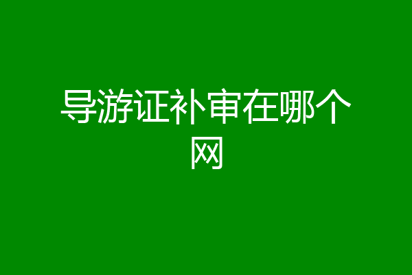 导游证补审在哪个网