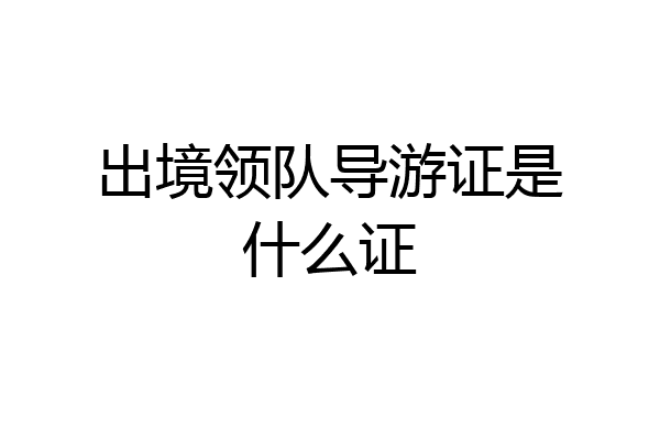 出境领队导游证是什么证
