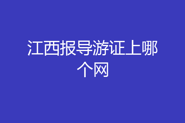 江西报导游证上哪个网