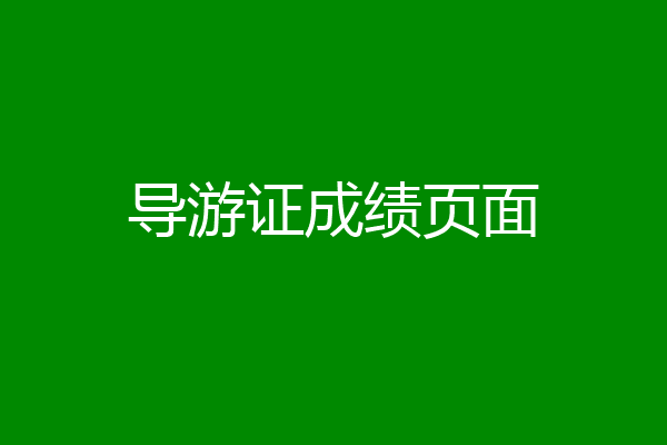 导游证成绩页面