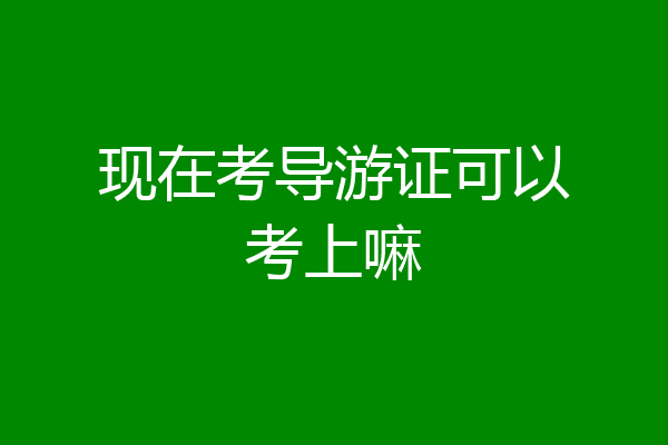 现在考导游证可以考上嘛