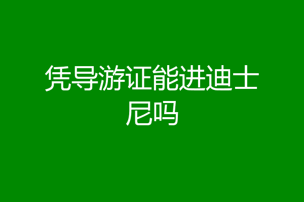 凭导游证能进迪士尼吗