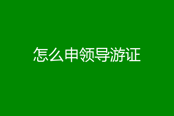 怎么申领导游证