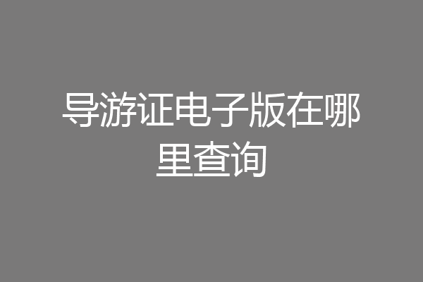 导游证电子版在哪里查询