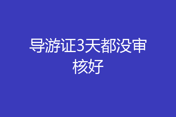 导游证3天都没审核好